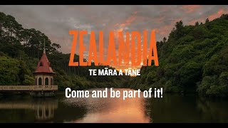 Zealandia  Come and be part of it 4K [upl. by Qulllon]