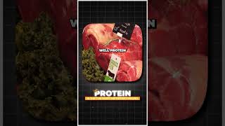 Why Protein is so Important healthyfood mealprep food [upl. by Atikaj]