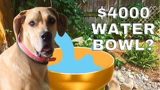 DIY Water Fountain  Turning a Patio Bowl into a Water Feature [upl. by Crichton]