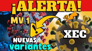 ¿Estamos ante una NUEVA OLA de coronavirus en 2024 [upl. by Viva]