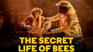 The Secret Life of Bees 2008 Movie  Queen Latifah amp Dakota Fanning  Fact And Review [upl. by Arnst]