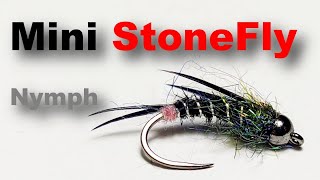 Mini Stone Fly Nymph Tying Tutorial  Dry Fly for Trout amp Grayling [upl. by Dud990]