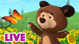 🔴 LIVE 🐻👧 Masha y el Oso 2024 👶🐻 Entonces eres pequeño 🎬 Masha and the Bear [upl. by Etem]