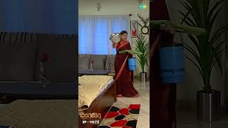 ROJA Serial Shorts Ep 112  1  Priyanka Sibbu Suryan  Saregama TV Shows Tamil  shorts ytshorts [upl. by Acnoib]