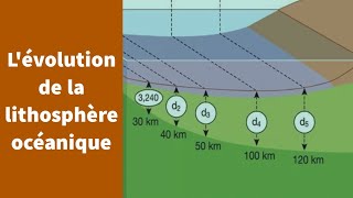 Lévolution de la lithosphère océanique  Première Spécialité SVT [upl. by Nofets617]