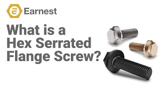 What is a Hex Serrated Flange Screw [upl. by Ramalahs]