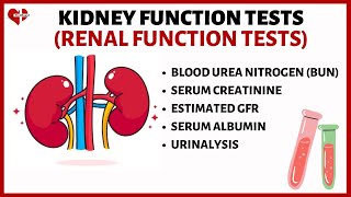 Kidney Function Tests KFTs Explained Serum Creatinine Serum Albumin BUN eGFR and Urinalysis [upl. by Enixam]