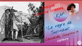 Analyse linéaire  Le nègre de Surinam CANDIDE chapitre 19 VOLTAIRE BAC français Oral EAF [upl. by Roobbie]