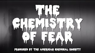 The Chemistry of Fear  Bytesize Science [upl. by Devina692]