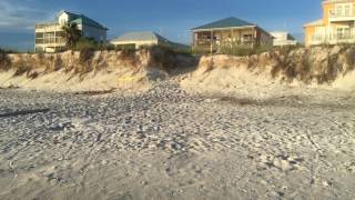 Aloha House McCosh Tereas Beach Homes Cape San Blas FL [upl. by Viki]