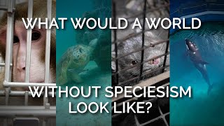 What Would a World Without Speciesism Look Like [upl. by Violeta]