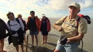 Wattenmeer  Erholung im Rhythmus der Natur  UNESCO Welterbe [upl. by Zarah914]