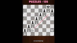 PUZZLES  135 FOR BEGINNERS [upl. by Ahkihs]