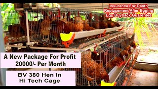 BV380 Hen cage with 250 chicks  profit upto 20000 month  insurance and replacement packages [upl. by Treble]