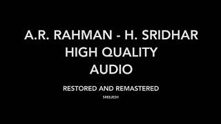 Vande Mataram Maa Tujhe Salam  High Quality Audio  AR Rahman [upl. by Ajiam579]