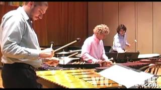 Concerto for Marimba amp Percussion Ensemble mvt 1 by Ney Rosauro  Marimba Literature Library [upl. by Anelhtac]