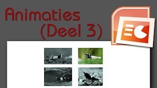 PowerPoint Les 5 Animaties Afbeelding Laten Opvallen als je er op Klikt [upl. by Mavilia]