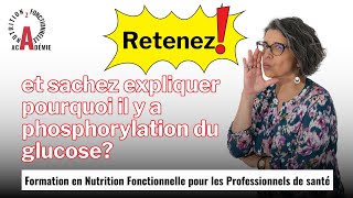 Retenez et sachez expliquer pourquoi il y a phosphorylation du glucose [upl. by Darees517]