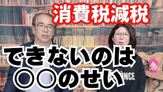 【消費税減税】できないのは○○のせいである [upl. by Laraine]