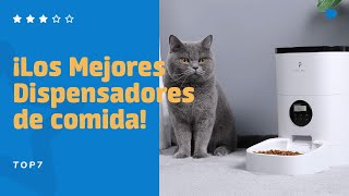 ✅ 7 DISPENSADORES de COMIDA PARA GATOS Automáticos  City Miau [upl. by Dusty349]