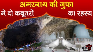 amarnath cave mystery  amarnath temple secret  amarnath real pigeon story amarnath yatra 2019 [upl. by Naleag]