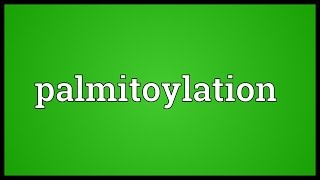 Palmitoylation Meaning [upl. by Arianie]