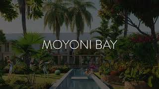 Moyoni Bay  The Heart of Fumba Town [upl. by Daahsar]