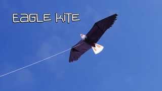 Eagle kite in 3D [upl. by Hsoj]