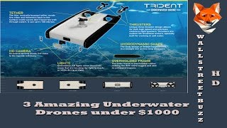 3 Amazing Underwater Drones under 1000 3 [upl. by Tyler]