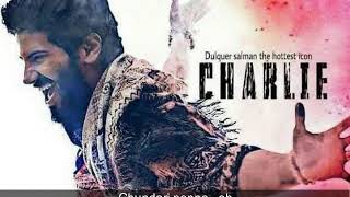 Chundari penne karoke with lyrics charlie movie good quality dulqar salmaan gopi sundhar Jebin [upl. by Snashall489]