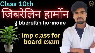 जिबेरेलिन हॉर्मोन  gibberellin hormone  biology by hardik sir [upl. by Anavlis]