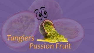 ShishaForU  Tangiers Passion Fruit [upl. by Benildas]