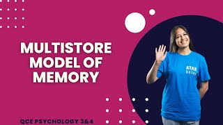 Multistore Model of Memory QCE Psychology 3amp4 [upl. by Amand]