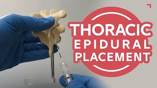 Thoracic Epidural Placement Landmark Training  Human Anatomical Model T78 [upl. by Akeit]