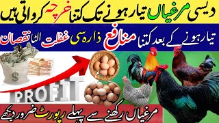 How much profit in poultry farming  Desi Murgi Australrop RIR [upl. by Anerul]