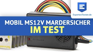 Marderschreck Review Mobil MS12V von MarderSICHER im Test 2021 [upl. by Myrta]