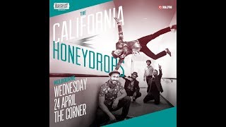 The California Honeydrops  Melbourne Sideshow 2019 [upl. by Daegal836]