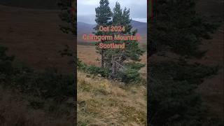 A Slight Breeze on the Cairngorm [upl. by Eki]