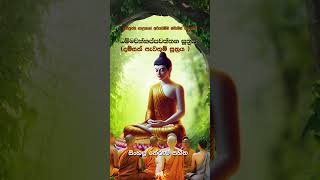 Dhammachakkappawaththana suttaධම්මචක්කප්පවත්තන සුත්තංdamsak Pawathum Suttraya සිංහල තේරුම සහිත [upl. by Trina]