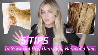 5 Tips to Grow Out Dry Damaged amp Bleached Hair [upl. by Lledraw144]