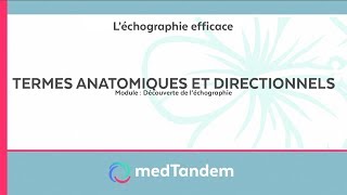 Termes anatomiques et directionnels  Découverte de léchographie en médecine générale [upl. by Pitts]