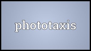 Phototaxis Meaning [upl. by Nivlak]