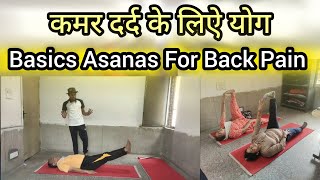 Yoga Class for Back Pain । Yoga For Back Pain । Basics Asanas For Back Pain । Yoga । Asanas [upl. by Bough597]