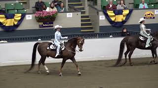 2024 UPHA CH 14 Spring Premier Heidi amp Romeo in WJ Western Seat Equitation Championship [upl. by Alethea]