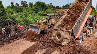 Extremely Work Dozers D41A And Dump Truck 25T Working Smoothly In Road Construction [upl. by Armin]