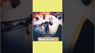 Mishary Rashid Al AfasyBeautiful Quran Recitation shorts [upl. by Hilten837]