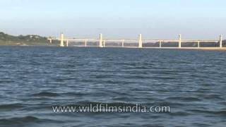 Crystal clear National Chambal Sanctuary with Rajghat bridge seen over the horizon [upl. by Einnad]