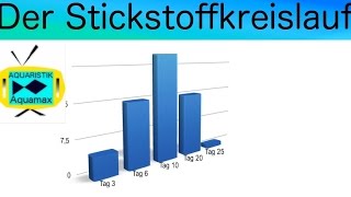 Der Stickstoffkreislauf im Aquarium  15 [upl. by Alonzo]