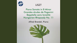 Piano Sonata in B Minor S 178 Allegro energico [upl. by Page891]