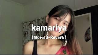 kamariya SlowedReverb Trending Song🎵🖤 [upl. by Hamrnand]